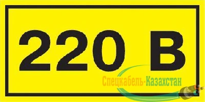 Символ "220В" 20х40 ИЭК YPC10-0220V-1-100
