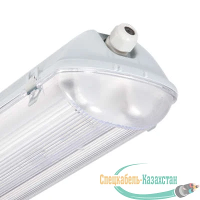 Светильник ЛСП44-2х36-010 (с ЭПРА PHILIPS) Ардатов 1044236010