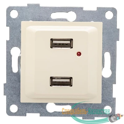 Розетка USB 2-м СП Ugra механизм беж. GUSI С11USB2-003