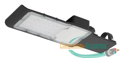 Светильник светодиодный SPP-503-0-50K-050 50Вт 5000лм 5000К IP65 (Аналог ДКУ) консольный ЭРА Б0043667