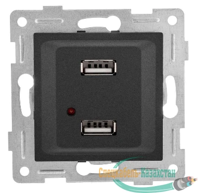 Розетка USB 2-м СП Ugra механизм графит GUSI С11USB2-010
