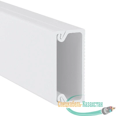 Кабель-канал 22х10 L2000 пластик TMC DKC 00317