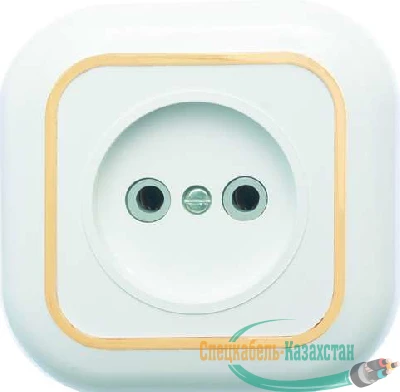 Розетка 1-м СП Валентина 10А IP20 РС10-153 бел./зол. Кунцево 7652
