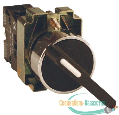 Переключатель BJ21 2P длинная рукоятка EKF xb2-bj21