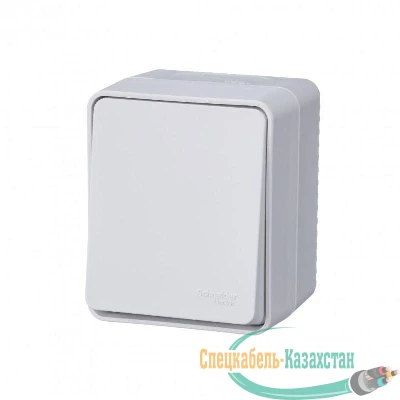 Переключатель проходной 1-кл. ОП AtlasDesign Profi54 IP54 10AX бел. SE ATN540161