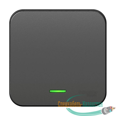Выключатель 1-кл. ОП Blanca 10А IP20 (сх. 1) 250В с подсветкой с изолир. пластиной антрацит SE BLNVA101116