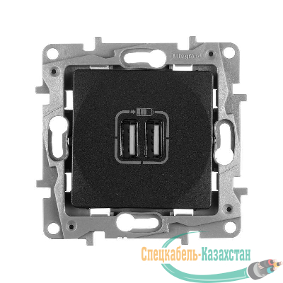 Розетка USB 2-м СП 2мод. Etika 240В/5В 2400мА механизм антрацит Leg 672694