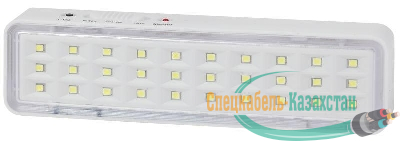 Светильник светодиодный DBA-101-0-20 30LED 5ч IP20 аварийный непостоянный Эра Б0044394