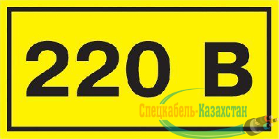 Символ "220В" 20х40 ИЭК YPC10-0220V-1-100