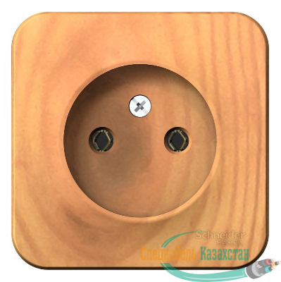 Розетка 1-м ОП BLANCA 16А 250В без шторок без заземл. изол. пласт. ясень SchE BLNRA000115