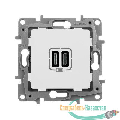 Устройство зарядное Etika с двумя USB-разьемами тип C-тип C 240В/5В 3000мА сл. кость Leg 672335