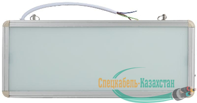 Светильник светодиодный SSA-101-0-20 3ч 3Вт без текста аварийныйЭРА Б0044387