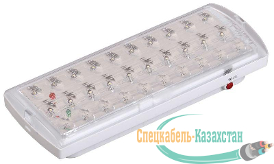 Светильник ДПА 2101 аккум. 4ч 30LED IP20 аварийный ИЭК LDPA0-2101-30-K01