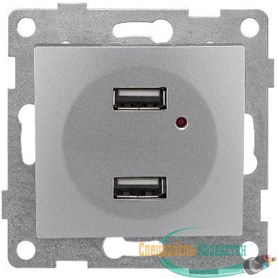 Розетка USB 2-м СП Bravo механизм серебр. GUSI С10USB2-004