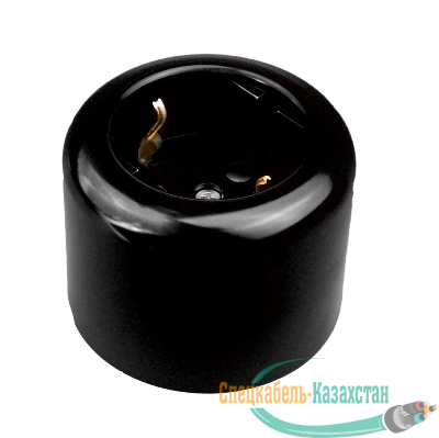 Розетка двухполюсная с ЗК R пластик черн. Bironi R1-101-23