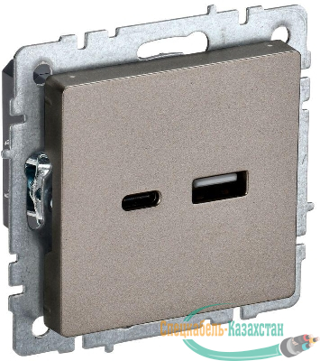 Розетка BRITE USB A+C 18Вт РЮ11-1-БрШ механизм шампань IEK BR-U22-018-K37