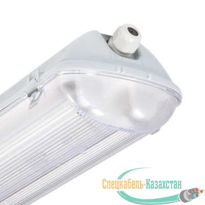 Светильник ЛСП44-2х36-010 (с ЭПРА PHILIPS) Ардатов 1044236010