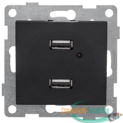 Розетка USB 2-м СП Bravo механизм графит GUSI С10USB2-010