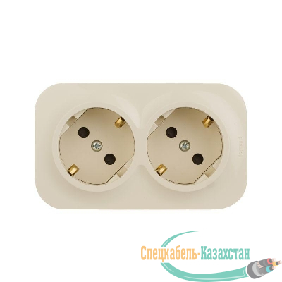 Розетка 2-м ОП Quteo 16А IP20 250В 2х2P+E с заземл. защ. шторки сл. кость Leg 782267