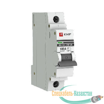 Выключатель нагрузки 1п 100А ВН-125 PROxima EKF SL125-1-100-pro