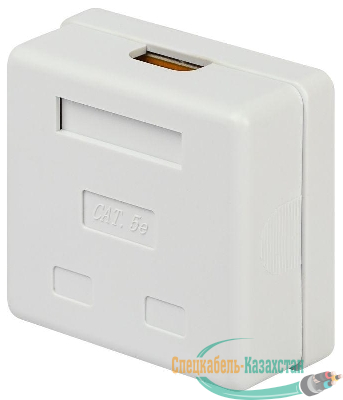 Розетка компьютерная 2-м RJ45 кат.5E неэкранир. Эра Б0056902