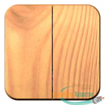 Выключатель 2-кл. ОП BLANCA (сх.5) 10А 250В изол. пласт. ясень SchE BLNVA105015