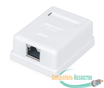 Розетка компьютерная 1-м ОП WR-WS-8P8C-C5E-SH-1 RJ45 кат.5E экранир. Dual IDC бел. WRline 505217