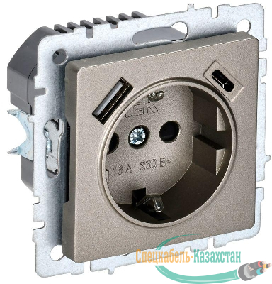 Розетка BRITE РЮш11-1-БрШ 16А с USB A+C 18Вт с заземл. защ. шторки механизм шампань IEK BR-R14-16-U22-018-K37