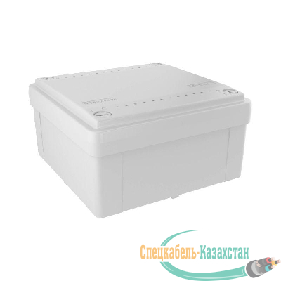 Коробка распр. ОП 100х100х50 (гладкие стенки) IP56 DKC 53810