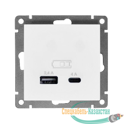 Розетка 2-м USB СП Афина 5В тип А(2.4А)+С(4А) механизм бел. Universal А0059