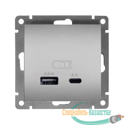 Розетка 2-м USB СП Афина тип А+С 5В 1х2.4А 2х4А механизм серебро Universal А0059-S