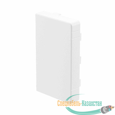 Заглушка LAN 80х40 (розн. упак. 2шт) DKC 00871R