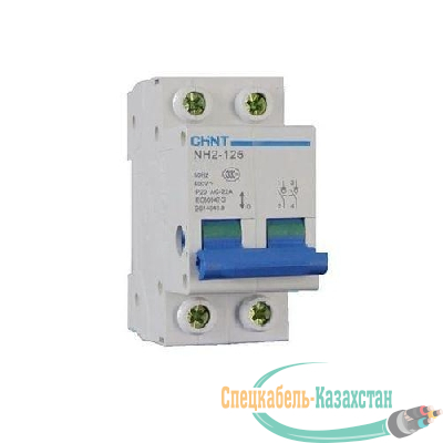 Выключатель нагрузки 2п 100А NH2-125 (R) CHINT 401061
