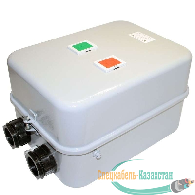 Пускатель ПМ12-063221 У2 В 63А кат. 220В AC с реле РТТ-231 63.0А Кашин 060221221ВВ220000900