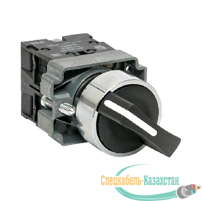 Переключатель BD33 3P короткая ручка 2NO IP65 PROxima EKF xb2-bd33-65
