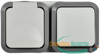 Блок ОП розетка + выключ. горизонт. TORS 16А IP55 TS242 бел. IEK TS-G10-6-55-V-K41