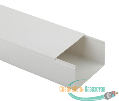 Кабель-канал 100х60 L2000 бел. Эра Б0031143