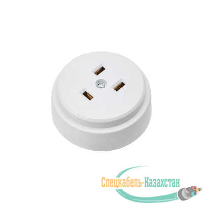 Розетка РШ для электрической плиты 32А 250В 2Р+РЕ (ОУ) бел. Rexant 11-8984