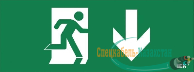 Этикетка самоклеящаяся "Фигура/стрелка вниз" ДПА IP20/54 IEK LPC10-1-24-09-FNIZ