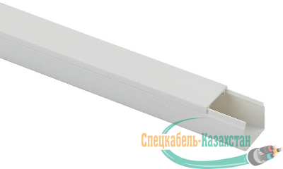 Кабель-канал 16х16 L2000 бел. Эра Б0031131