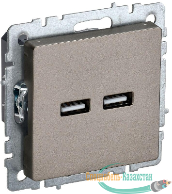 Розетка BRITE USB A+A 3.1А РЮ10-1-БрШ механизм шампань IEK BR-U21-D31-K37