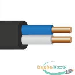 Кабель ВВГ-Пнг(А)-LS 2х2.5 ОК (N) 0.66кВ (уп.100м) Кабэкс ТХМ00136967