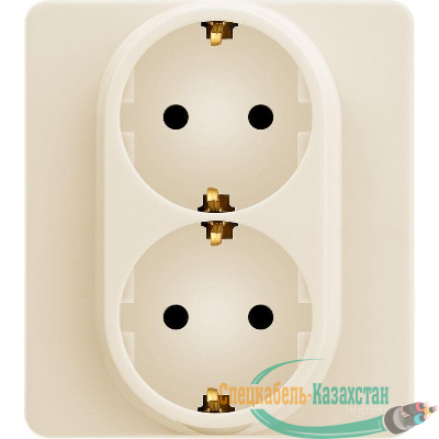 Розетка Inspiria 16А 250В 2х2P+E немецк. стандарт сл. кость Leg 673751