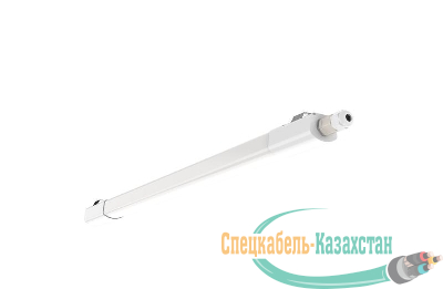 Светильник светодиодный WT035C G2 LED20/NW PSU CFW L600 ДСП 4000К PHILIPS 911401807284