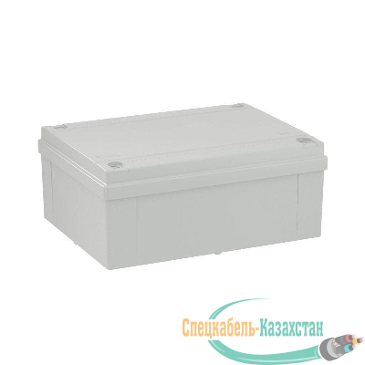 Коробка распр. ОП 300х220х120 (гладкие стенки) IP56 DKC 54310