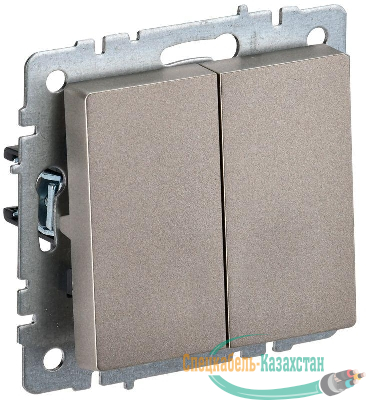Выключатель 2-кл. СП BRITE ВС10-2-0-БрШ 10А механизм шампань IEK BR-V20-0-10-K37