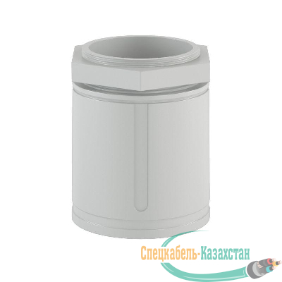 Муфта труба-коробка d50 IP67 DKC 50250