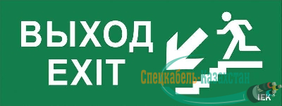 Этикетка самоклеящаяся "Выход/лестница вниз/фигура" ДПА IP20/54 IEK LPC10-1-24-09-VLVNF