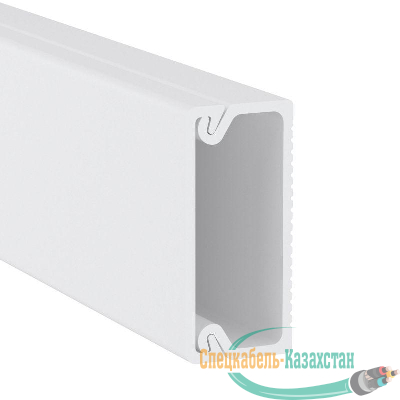 Кабель-канал 22х10 L2000 пластик TMC DKC 00317