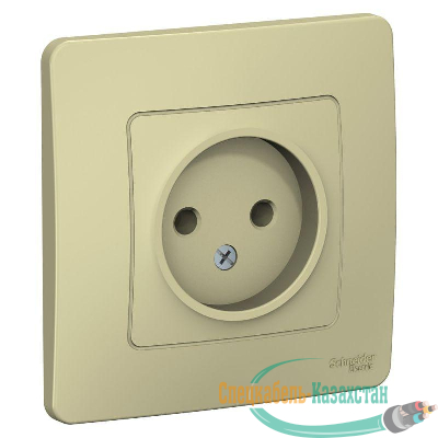 Розетка 1-м СП BLANCA 16А 250В без шторок без заземл. беж. SchE BLNRS000017